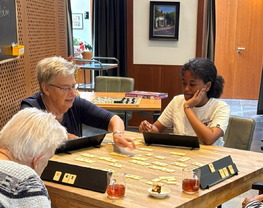 Individueel / Activiteiten Begeleider