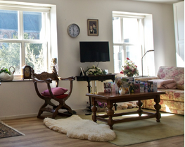 Hulp in de Huishouding